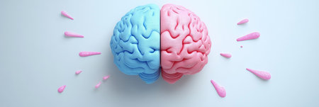 Blue And Pink Anatomical Brain Model On Light Background, Human Mind, Creative Versus Logicの素材