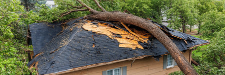 Severe Storm Damage Large Fallen Tree Destroys Roof of Residential Home, Aerial Viewの素材