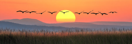 Vibrant sunset orange background with graceful birds in flight creating a serene atmosphereの素材
