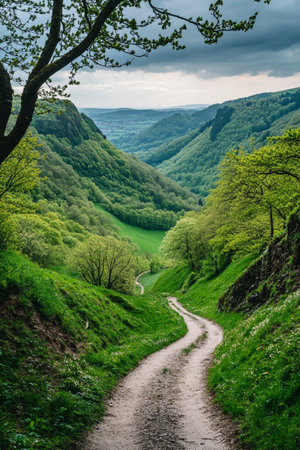 Winding Dirt Road Through Lush Green Valley, Ideal for Nature Walks and Outdoor Adventureの素材