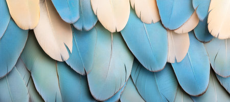 Soft, Gentle, Pastel Hues Delicate Pattern Formed by a Sea of Blue and White Feathers, Close-Upの素材