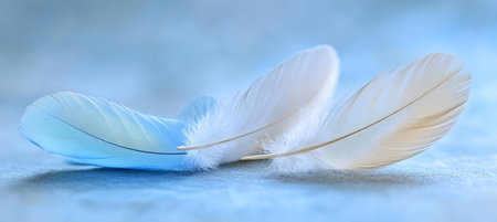 Light Blue and White Feathers, Soft and Delicate Texture, Overlapping Layers, Calming Color Paletteの素材