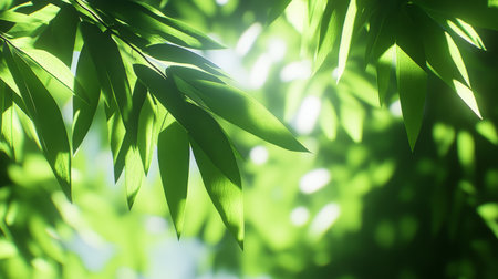 Sunlight through Lush Green Leaves, Abstract Nature Background with Copy Space for Designの素材