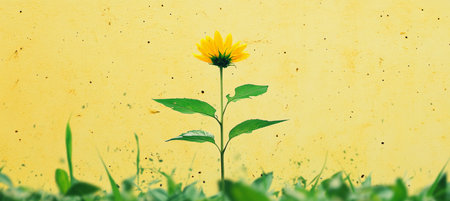 Single Yellow Sunflower Standing Strong with Yellow Grunge Wall Background, Nature Conceptの素材