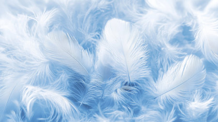 Soft Blue and White Feathers Texture, Love Concept Background. Light and Airy Romantic Themeの素材