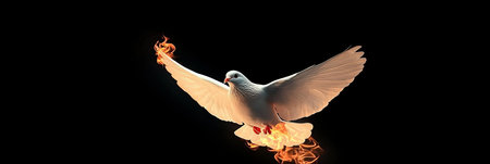 White Dove With Fiery Wings In Flight Isolated On Black Background Symbolizing Peace And Powerの素材