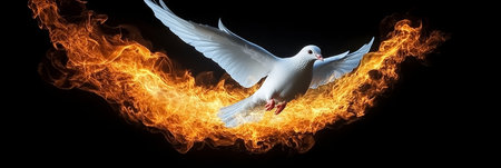 White Dove Soaring Through Flames A Symbol of Peace, Hope, and Spirituality on a Black Backgroundの素材