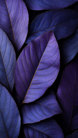 Deep Purple Leaves, Lush Foliage Texture, Moody Botanical Background, Nature Stock Photoの素材