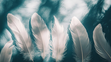 Five White Feathers, Soft Focus Feathers, Nature Background, Close Up ,Macro, Textureの素材