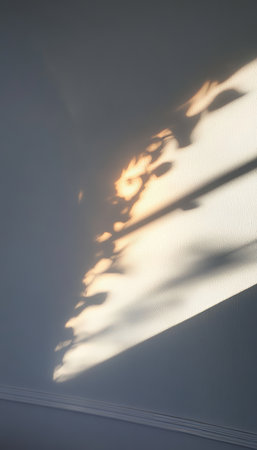 Soft Sunlight Through a Window, Creating Shadows of Leaves On Wall, Minimalist , Bright, Indoorの素材