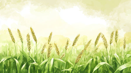 Watercolor Wheat Field, Pastel Green Background, Elegant Line Drawing, Light and Airy Styleの素材