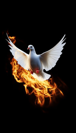 White Dove In Flight With Fiery Wings A Symbol Of Hope And Peace On A Black Backgroundの素材