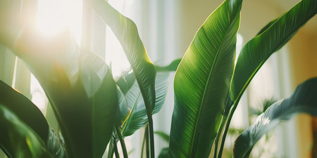 Lush, Vibrant Green Leaves with Sunlight Highlighting Veins, Close Up, Natural Lighting, Sharp Focusの素材