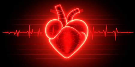 Glowing Red Human Heartbeat with Electrocardiogram Wave on Black Background Illustrationの素材