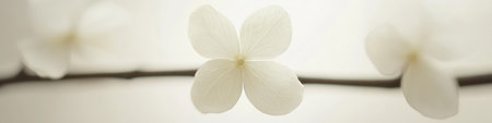 Minimalist Floral Design, Soft Light Beige Background With Delicate Flowers And Branchesの素材