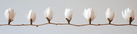 Seven Handcrafted White Magnolia Flowers on Thin Golden Wire, Isolated on White Backgroundの素材