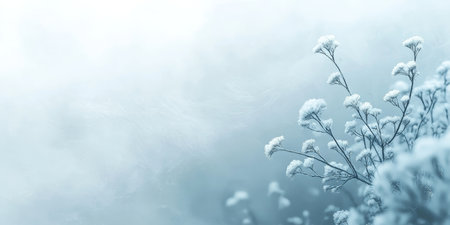 Frosty Floral Minimalism Delicate Wildflowers Embrace Winter s Embrace in a Serene Nature Sceneの素材