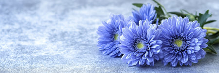 Bouquet of Delicate Blue Chrysanthemum Flowers on a Textured Background, Selective Focusの素材