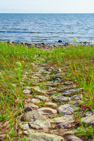 Scenic Pebbled Path Meandering Through Lush Green Grass by the Sparkling Ocean Under a Clear Sky
