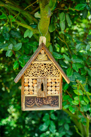Beautifully crafted small wooden birdhouse hanging from a tree branch in a serene garden setting