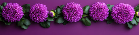 Five Vibrant Purple Chrysanthemums On Purple Background, Floral Arrangement With Copy Spaceの素材