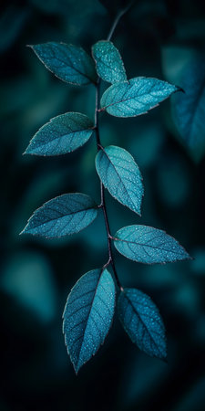 Close-up, Macro Texture of Vibrant Blue-Green Tropical Leaves, Abstract Floral Backgroundの素材