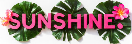 Tropical Summer Vibes Vibrant Pink Sunshine Text with Lush Green Palm Leaves on White Backgroundの素材