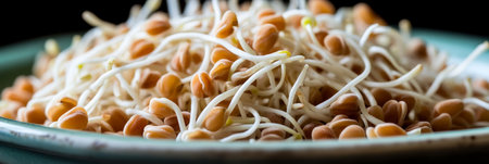 Detailed closeup of Organic Germinated Fenugreek Sprouts Vitamins, Antioxidants in Every Bite.の素材
