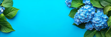 Blue Hydrangea Flowers With Leaves Border Arrangement On A Blue Background With Space For Textの素材