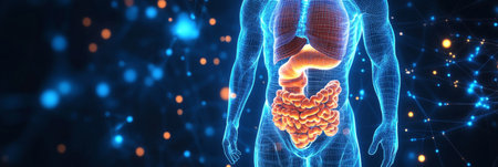 3D Illustration of the Human Digestive System on a Blue Background with Connecting Linesの素材