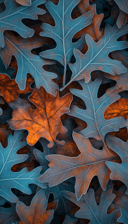 Vibrant Autumn Close-up Of Colorful Oak Leaves, Shallow Depth Of Field, Natural Lightingの素材
