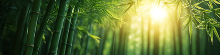 Sunbeams Through Lush Green Bamboo Forest, Nature Background, Tranquil Asian Wallpaperの素材