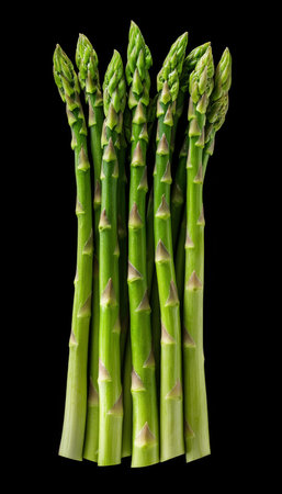 Fresh Green Asparagus Stalks, Vibrant Bunch Isolated on Black Background, Healthy Food Conceptの素材