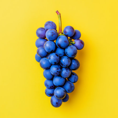 Fresh Purple Grapes on Vibrant Yellow, Bunch of Ripe, Juicy Fruit, Isolated Backgroundの素材