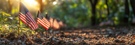 American Flags In A Row At Sunset In Honoring Veterans Cemetery, Memorial Day, National Holidayの素材