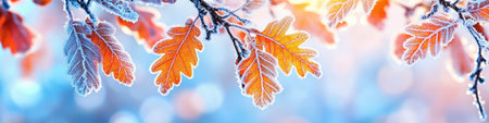 Frost-Covered Oak Leaves on a Sunny Winter Day, Creating a Beautiful Soft Focus Backgroundの素材