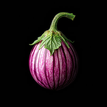 Vibrant Purple and White Striped Eggplant Isolated on Black Background with Stem Intactの素材