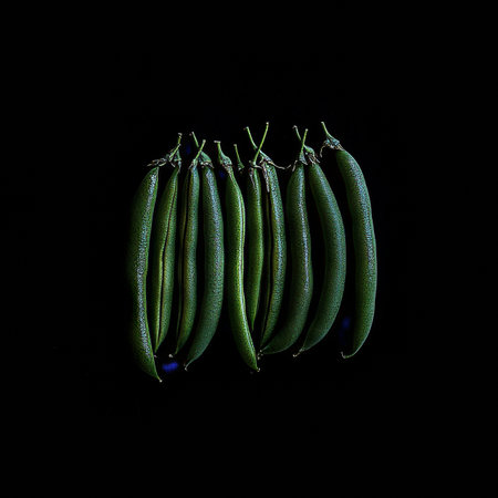 Seven Vibrant Green Beans, Freshly Picked, Isolated on Black, Smooth Surface, Bright Green Tonesの素材