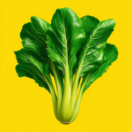 Vibrant Green Spinach Freshly Picked, Isolated on Yellow, Rich in Vitamins, Healthy Eating.の素材
