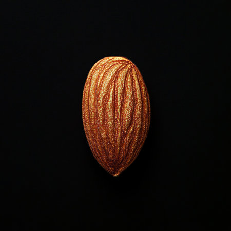 Single Almond on Black Background, Close-up, Healthy Food, Brown Nut, Minimalist Compositionの素材