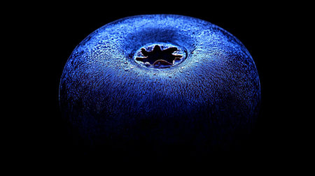 Single, ripe blueberry, vibrant blue color, isolated on black with dew drops., macro, closeupの素材