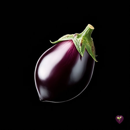 Vibrant Deep Purple Eggplant Isolated on Black Background, Perfect for Food Photographyの素材