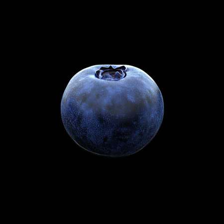 Single, Vibrant Blueberry on a Black Background, Deep Blue Tones, Smooth, Ripe, and Ready to Eatの素材