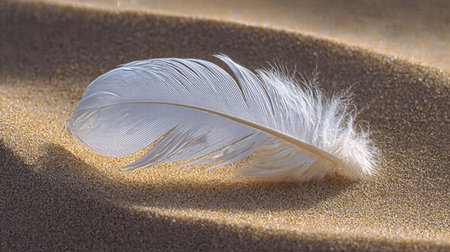 Single White Feather Resting on Golden Sand, Minimalism, Nature s Simplicity, Tranquilityの素材