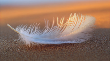 Single White Feather on Golden Sand, Tranquil Minimalism, Simple Beauty in Nature, Close Upの素材