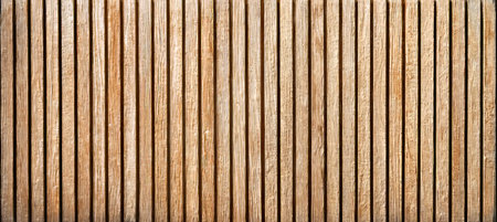 Elegant ash timber wainscoting creating a soothing light toned backdrop with contemporary linesの素材