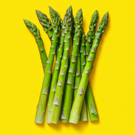 Fresh Green Asparagus Spears, Bundle Isolated on Vibrant Yellow Background, Healthy Food Conceptの素材