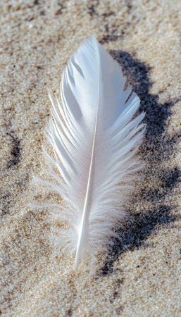 Soft White Plumage Lying Idyllic Amidst Sunlight on Grain Sand in a Serene Zen Conceptual Sceneの素材