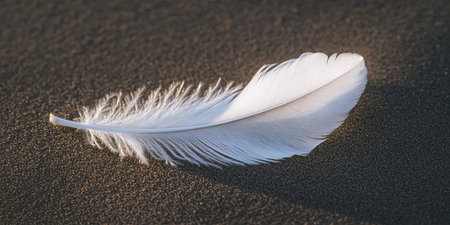 A White Feather Resting on Soft Sand, Capturing Minimalism and Serenity in Nature s Embrace.の素材