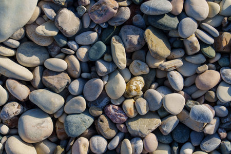 Serene Beach Pebbles A Textured Tapestry of Smooth Stones in Varied Shades and Sizesの写真素材
